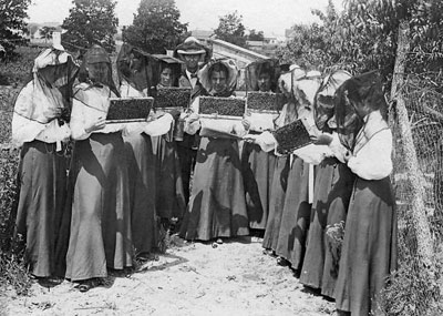 Beekeeping students at the College of Industrial Arts